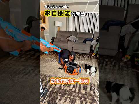 為了生存只能犧牲兄弟 thumbnail