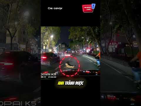 Đêm hôm lái xe gặp con chó chặn đường: ? #shorts thumbnail