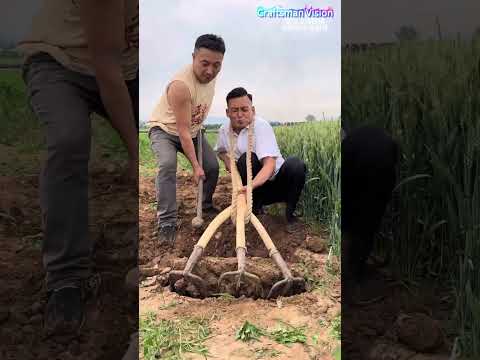 Homemade three prong tree branch soil turning tool thumbnail