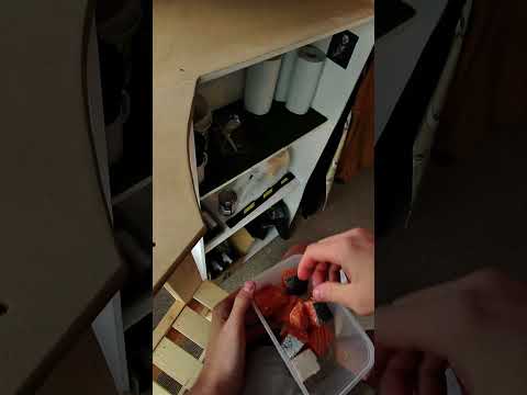 Luring My Pet Seagull Inside With Salmon! thumbnail