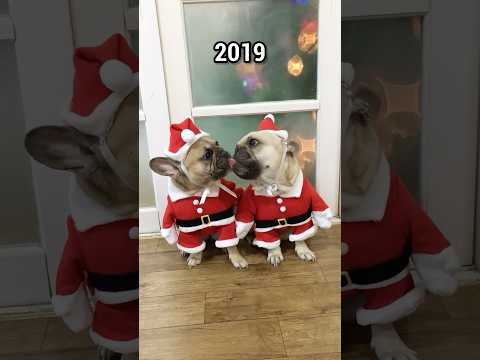 Some Things Never Change 🥹🎄❤️ thumbnail