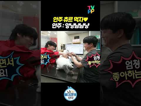 【#TVPP】 냥이 츄르 먹는 소리 | 나혼자산다 | TVPP | MBC 240412 방송 외 thumbnail