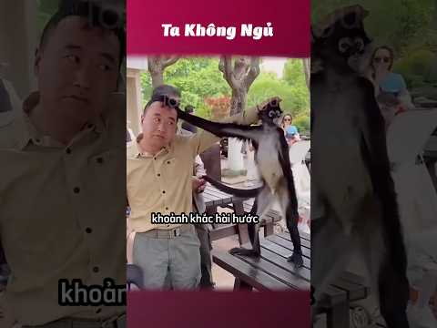 Mấy đứa hài hước này 😂 #takhongngu thumbnail
