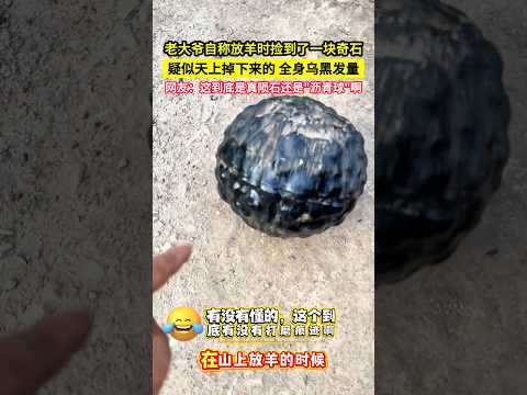 老大爺自稱放羊時撿到了一塊奇石，疑似天上掉下來的，全身烏黑髮量，網友：這到底是真隕石還是"瀝青球"啊！#shorts thumbnail