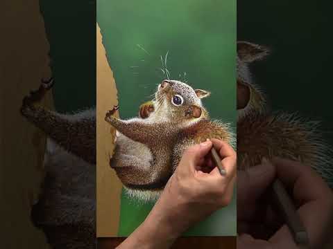 Squirrel on paper #drawing #art thumbnail
