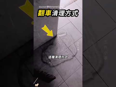 想清潔卻把地毯毀掉了🫠 thumbnail