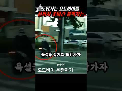 막말 후 도망가는 오토바이 운전자를 끝까지 쫓아간 블박차는.. thumbnail