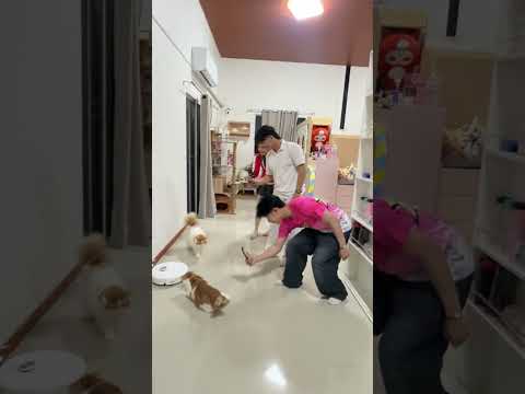 แนวลมหรือคนรุม thumbnail