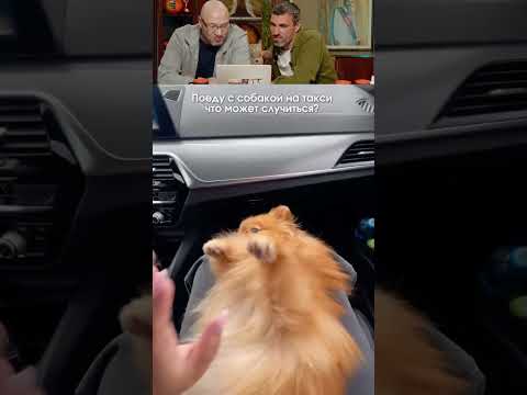 ЗАСМЕЯЛСЯ - ПОДПИСАЛСЯ! Ч.290😂 СМЕХ С ВОДОЙ! thumbnail