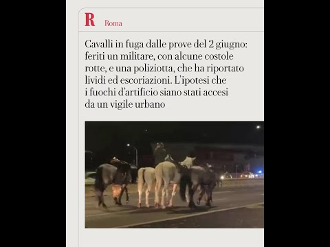 Cavalli in fuga dalle prove del 2 giugno: verifiche in corso sui fuochi sparati da un vigile urbano thumbnail