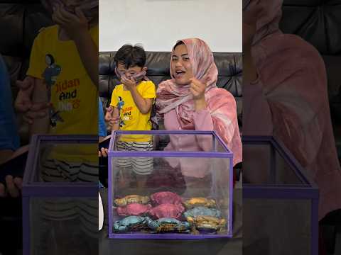 Pilih kepiting warna thumbnail