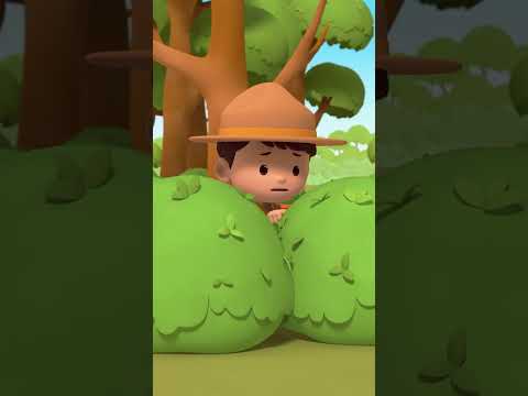 THE CICADA IS ATTRACTED TO LOUD SOUNDS! | Leo the Wildlife Ranger #shorts thumbnail