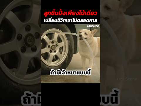 ลูกชิ้นปิ้งเพียงไม้เดียวเปลี่ยนชีวิตเขาไปตลอดกาล #shorts #สปอยหนัง #รีวิวหนัง #movie thumbnail