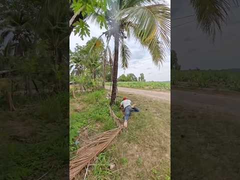 ภาคต่อ พี่ต้อยเกมส์  #funny thumbnail