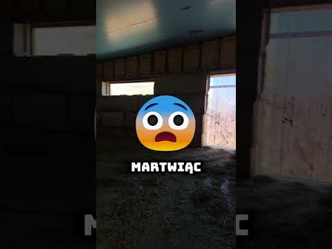 😍 To Malutkie Zwierzątko Zasługuje Na LAJKA! 🦏 thumbnail