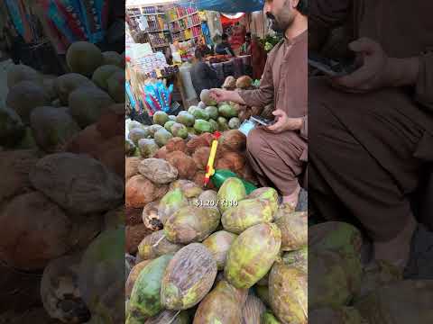 Why Are Coconuts So Expensive in ??? thumbnail