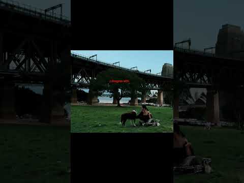 safe but sorry? thumbnail