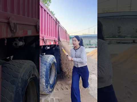 Công việc chở cát nặng nhọc của nữ tài xế xinh đẹp #truckdriver #trucking #trucklife #female #truck thumbnail