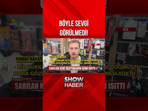 Sarılan kedi izleyenlerin içini ısıttı! #showanahaber #shorts thumbnail