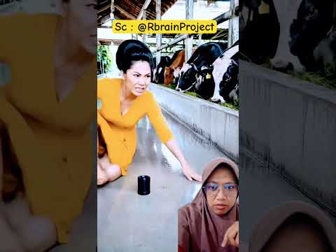 Bersihkan sampai kinclong‼️ RbrainProject thumbnail