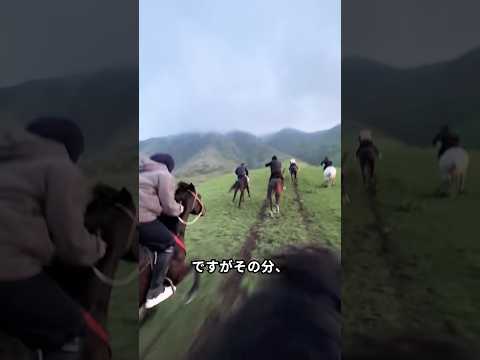 レース直後に必ず行うケア thumbnail
