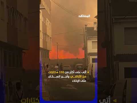 أكثر من 110 هكتارات من الأراضي.. غابات مورسيا الإسبانية تحترق! thumbnail
