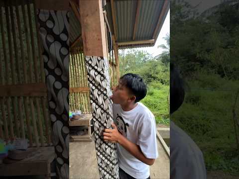 0RANG GILA JILATIN ES KRIM MANG UNI ORANG WARAS JILATIN TEMBOK thumbnail