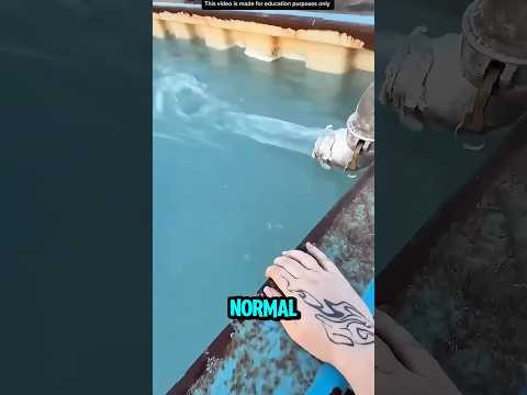 KOLAM LEM SUPER LENGKET❗️#videoviral #information #pengetahuan thumbnail
