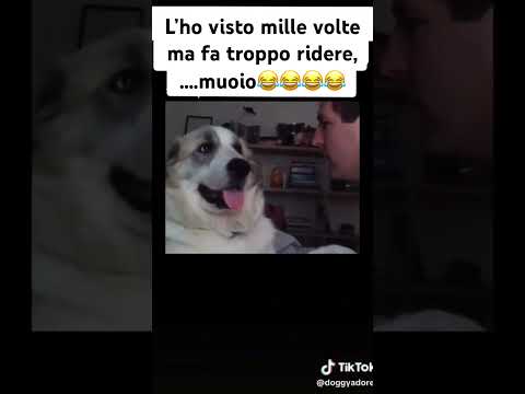 Super cane #cane thumbnail