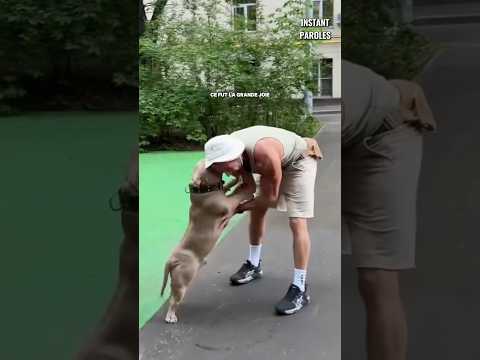 Ce chien reconnaît son propriétaire après deux semaines de séparation thumbnail
