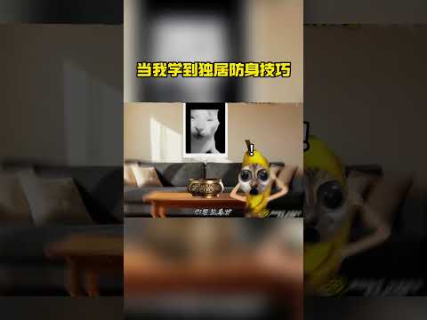 晚上回家把自己吓个半死#猫meme #猫meme小剧场 thumbnail