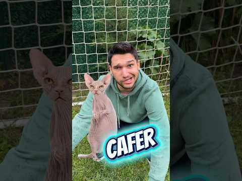 Kızların kedilere koyduğu isimler ￼ thumbnail