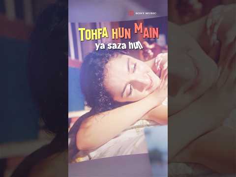 Tohfa...One Song, So Many Feelings ❤️ #viralsong #hitsong #lovesong thumbnail