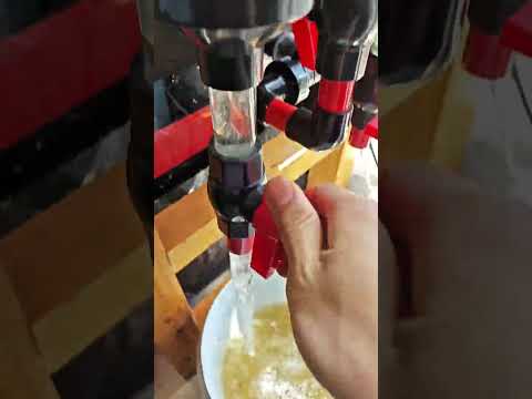 AquariumFiltering thumbnail