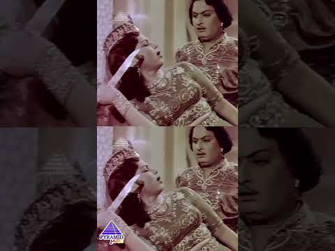 Unnaivida Maattaen Video Song | Alibabavum 40 Thirudargalum Movie | MGR | Bhanumathi | #ytshorts thumbnail