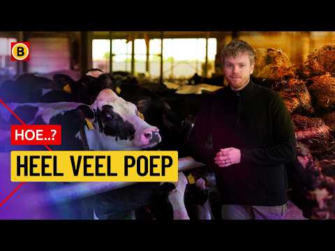 Wordt mest het nieuwe goud? thumbnail