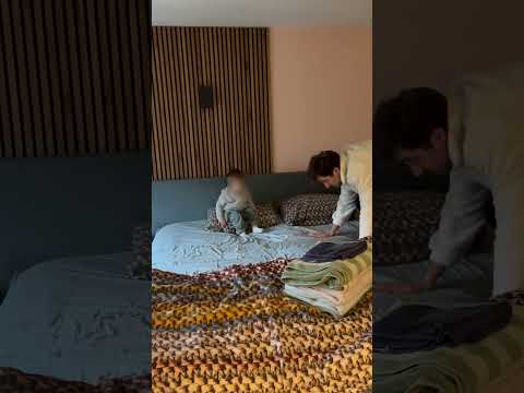 Dex (16 maandjes) kan een (nieuw) trucje 😍… thumbnail