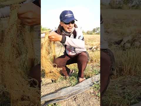 เมือเจอหมายเด็ด #ตกปลา  #fishing #nonna_channel thumbnail