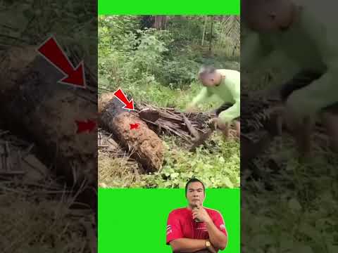 ชายคนนี้ทำอะไร thumbnail