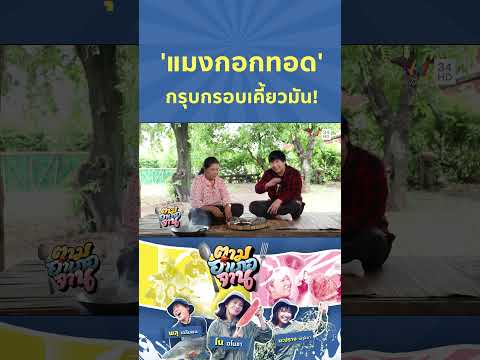 'แมงกอกทอด' กรุบกรอบเคี้ยวมัน! | ตามอำเภอจาน HIGHLIGHT thumbnail