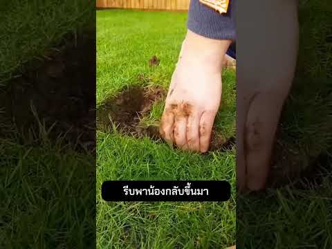 รีบพาน้องกลับขึ้นมา thumbnail