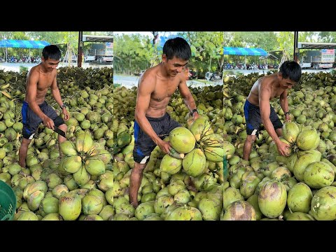 Best Coconut Packaging Process for Export thumbnail