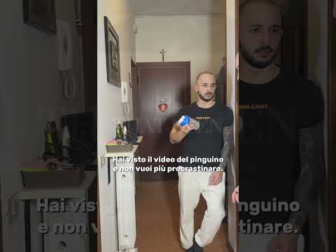 Hai visto quel video del pinguino 🐧 e ti senti motivato piú che mai 😂 thumbnail