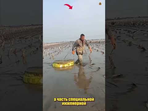 @27_crew ЧТО ОНИ ДЕЛАЮТ thumbnail