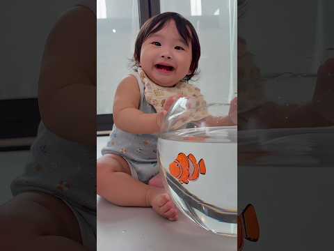 Smart Mookie Love🐠 #funny #shorts thumbnail