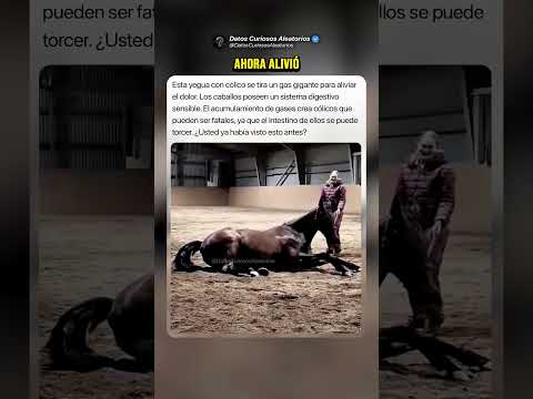 Alivió la Presión 🐎 #curiosidades #misterios thumbnail