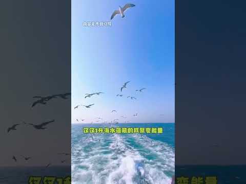 怪不得小时候教我唱的种太阳 #人造太阳 #科技 #shorts thumbnail