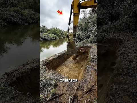 operator JCB mengetahui bahwa ada buaya di kolam ini #shortsvideo thumbnail