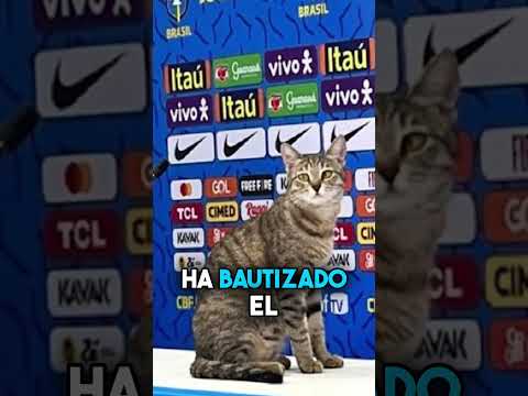 La maldición de Brasil y bautizan su avión con agua bendita para el Mundial 🇧🇷🤔 #Shorts thumbnail