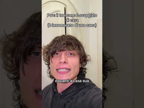 il mio cane è scappato di casa  #perte #neiperte #seltsam #divertente #cane thumbnail